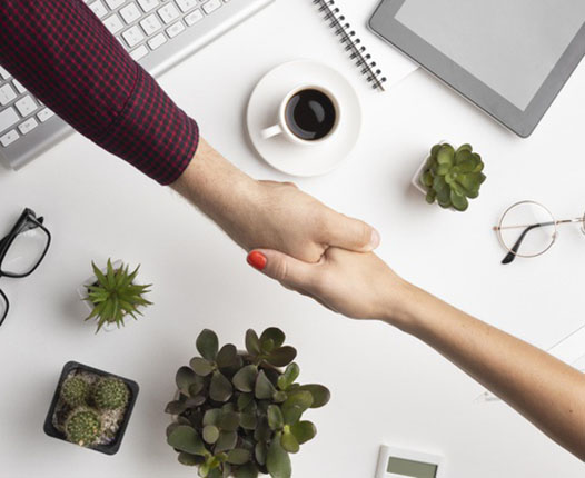 Website entwicklung